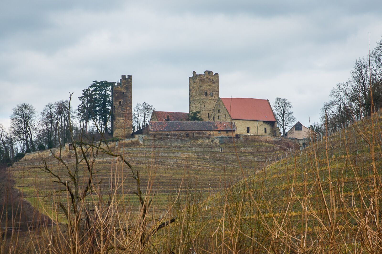 Canon EOS 5D Mark III sample photo. Neipperg, castle, fortress photography