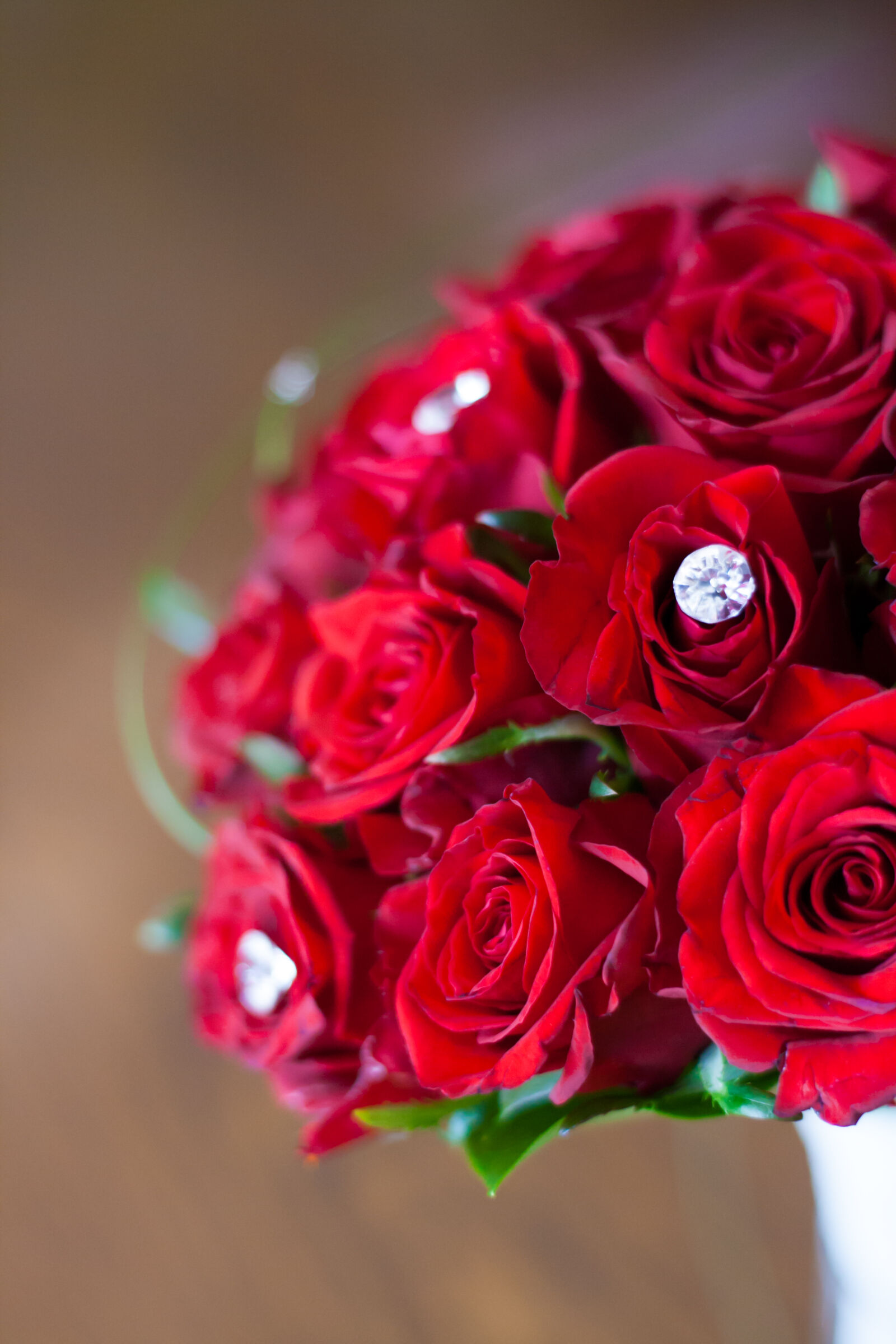 Canon EOS 400D (EOS Digital Rebel XTi / EOS Kiss Digital X) sample photo. Red, roses, bridal, bouquet photography