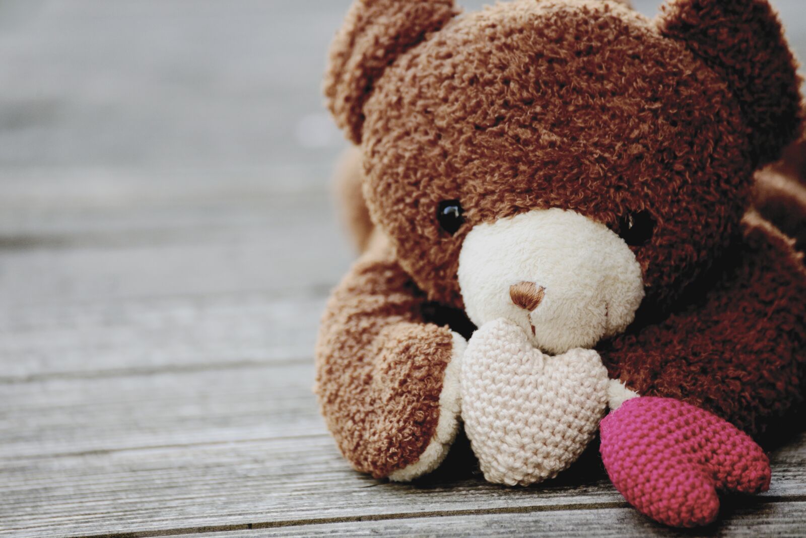 Nikon D610 sample photo. Teddy, teddy bear, stuffed photography