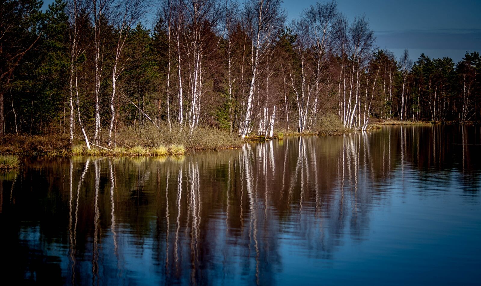 Nikon D60 sample photo. Reflection, trees, lake photography