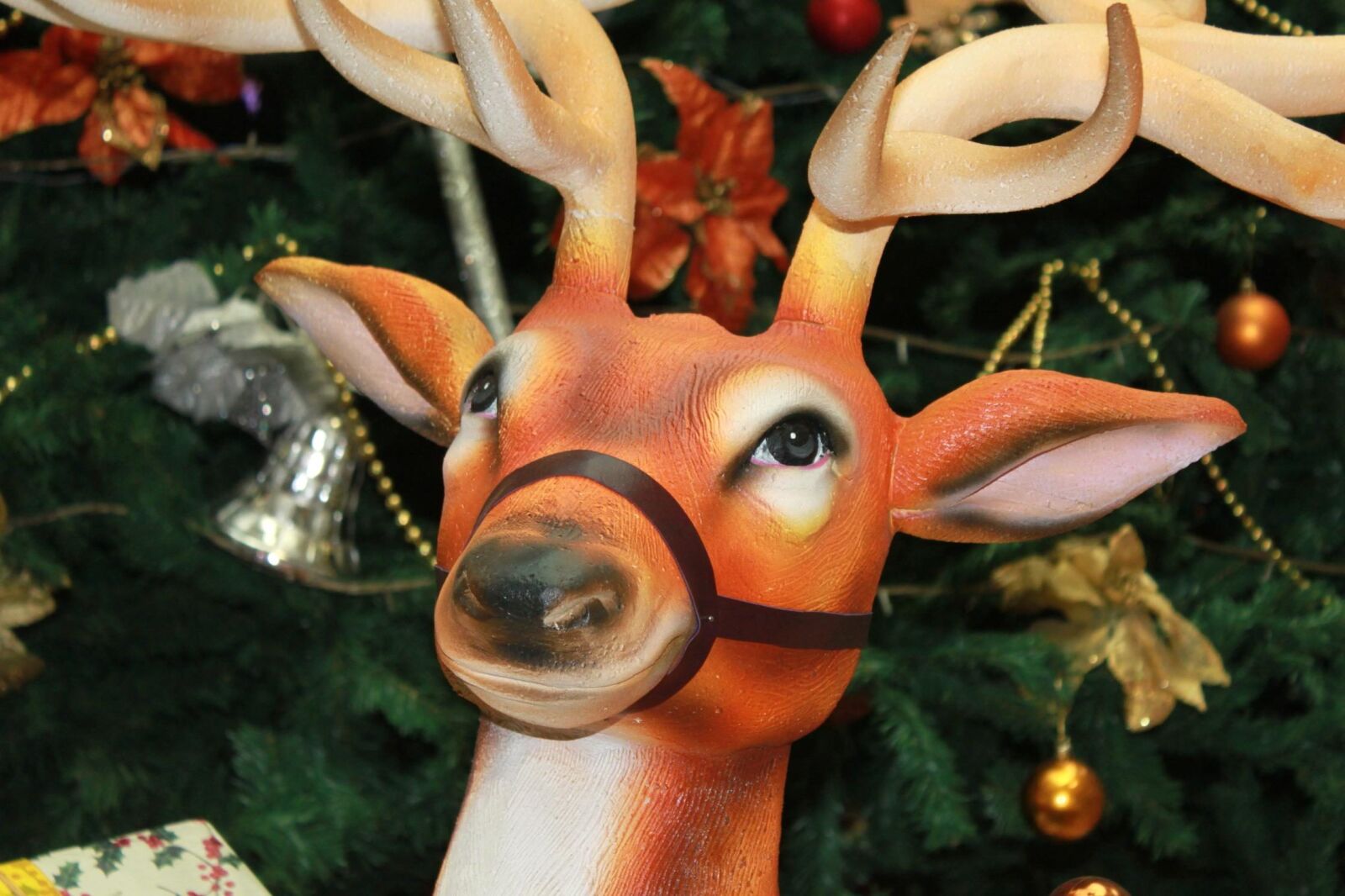 Canon EOS 500D (EOS Rebel T1i / EOS Kiss X3) sample photo. Reindeer, christmas, tree, toy photography