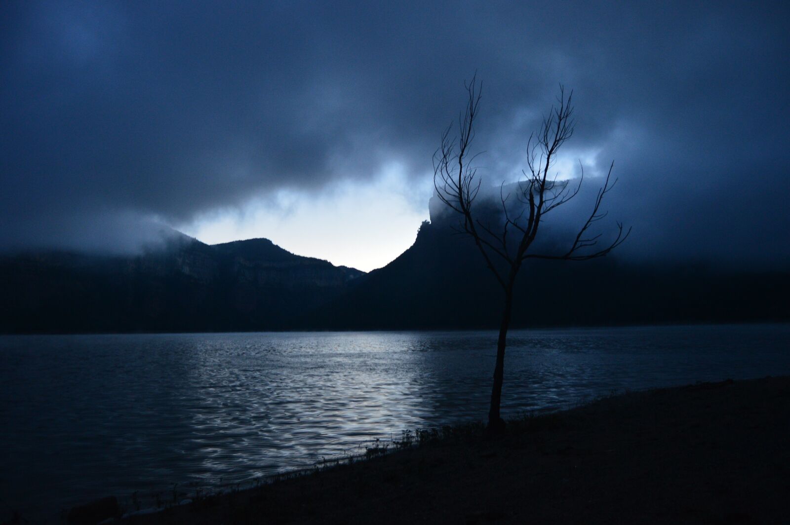 Nikon D3200 sample photo. Fog, lake, tree photography