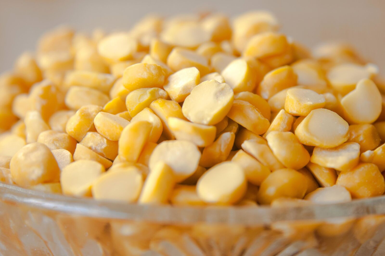 Canon EOS 1000D (EOS Digital Rebel XS / EOS Kiss F) sample photo. Bowl, closeup, corn, grain photography