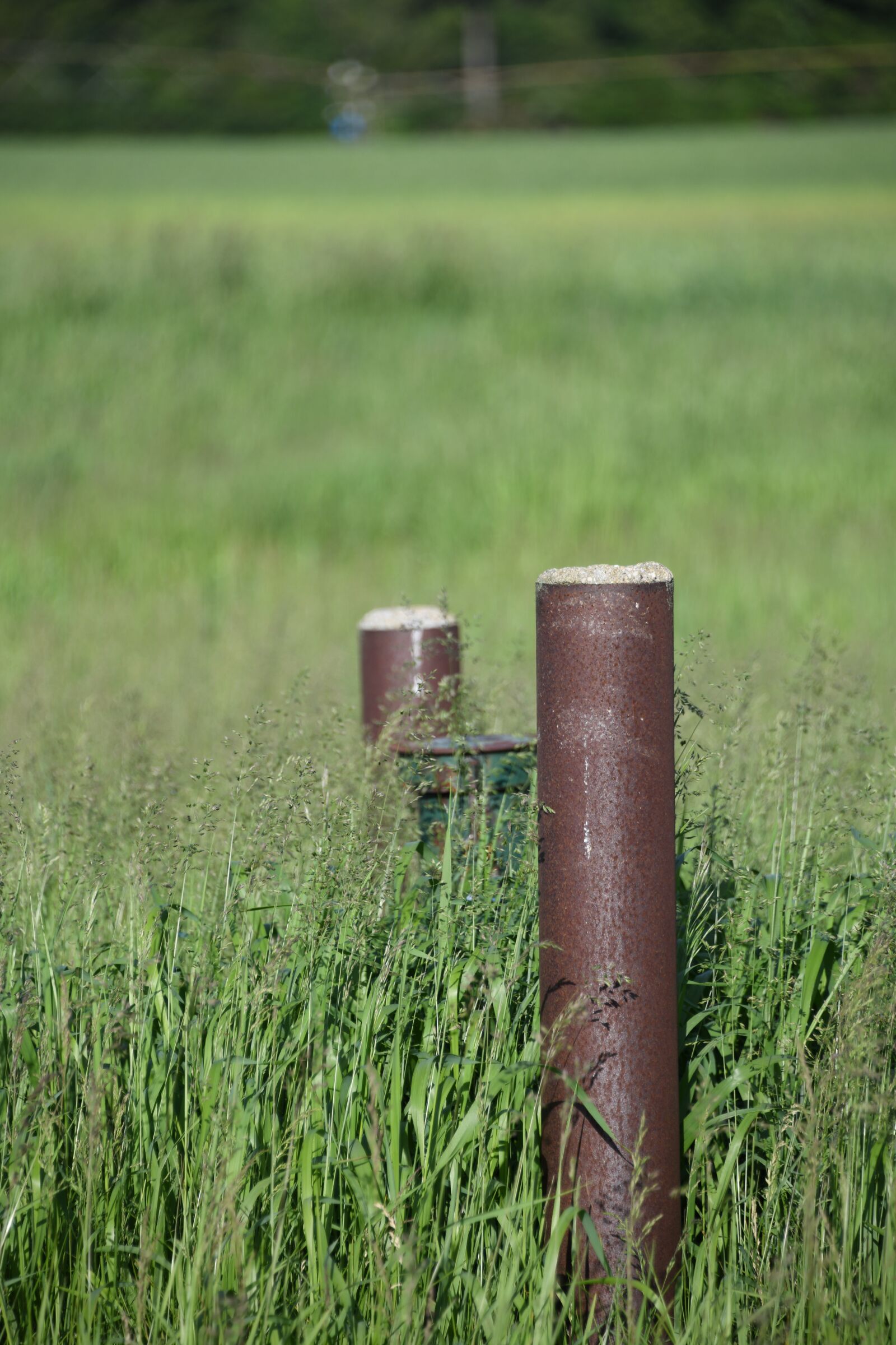 Nikon D850 sample photo. Field, post, grassland photography