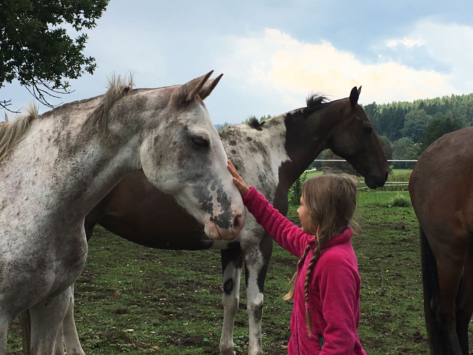 iPhone SE back camera 4.15mm f/2.2 sample photo. Child, horse, braids photography