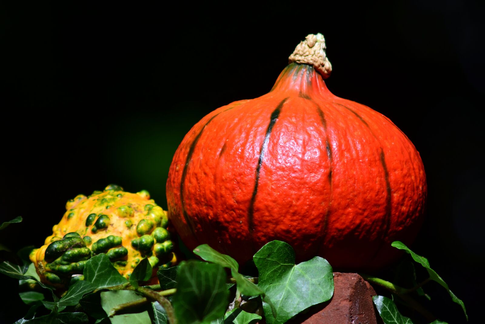 Nikon D3300 sample photo. Pumpkin, hokkaido, orange photography