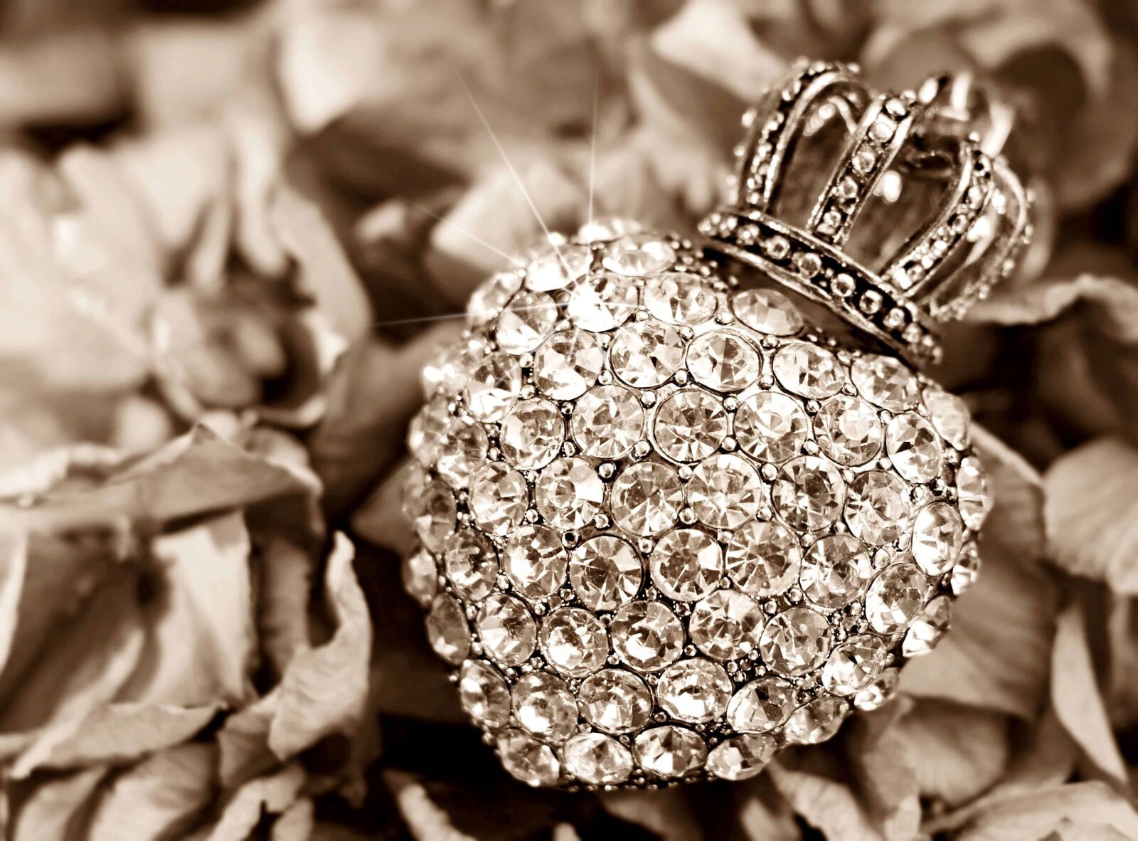Canon EOS 100D (EOS Rebel SL1 / EOS Kiss X7) sample photo. Leaf, autumn, jewelry, heart photography