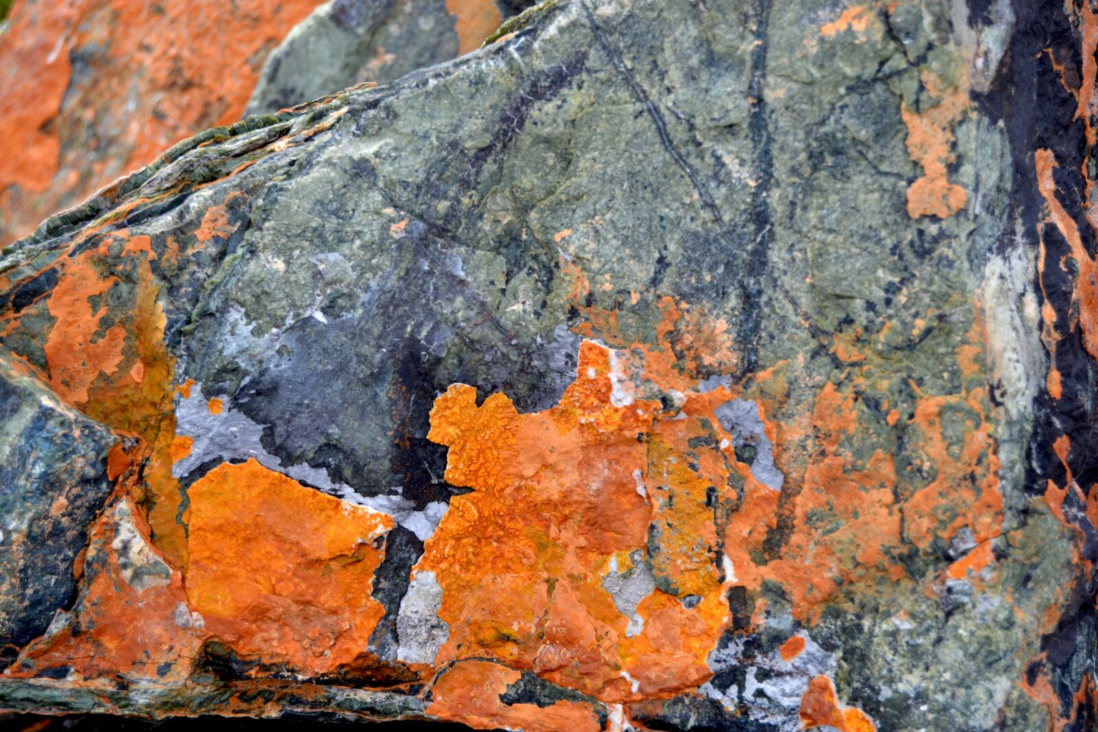 Nikon D3100 sample photo. Kennedy, stone, nature photography