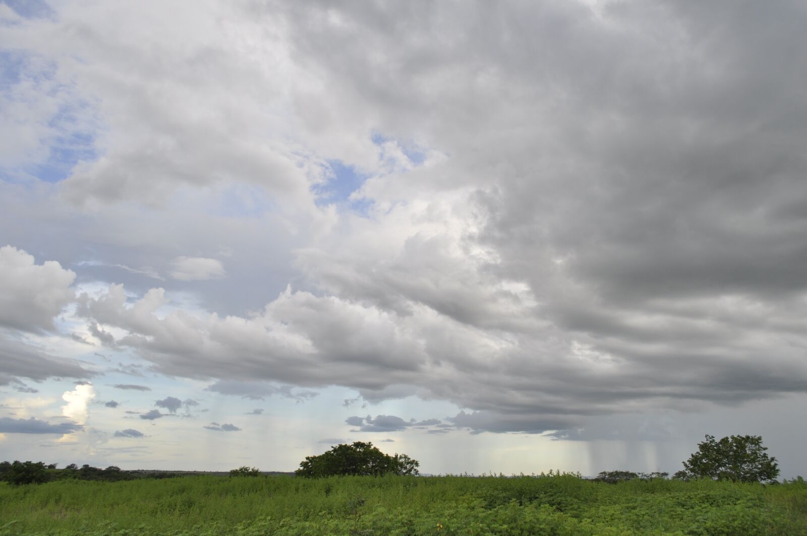 Nikon D5000 sample photo. Sky, cloud, landscape photography
