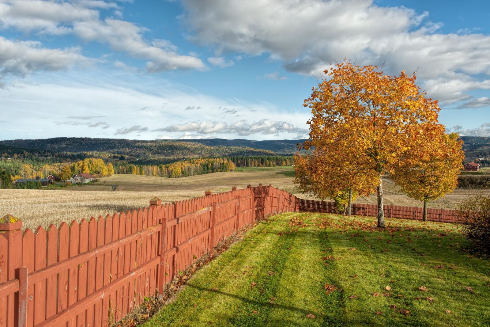 Nikon D7100 sample photo. Autum, color, trees photography