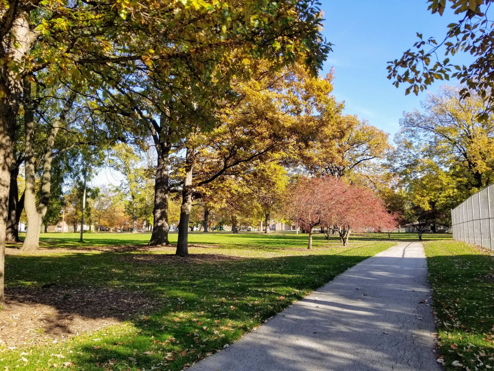 Samsung Galaxy S8 sample photo. Fall, park, autumn photography