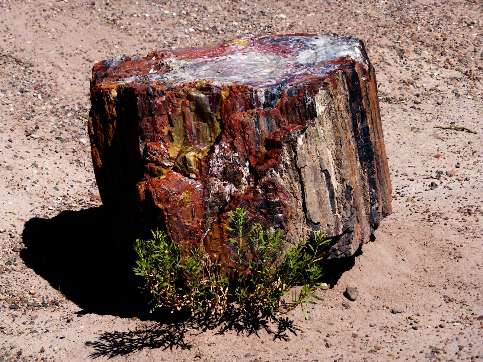 Panasonic Lumix DMC-ZS25 (Lumix DMC-TZ35) sample photo. Nature, geology, desert photography