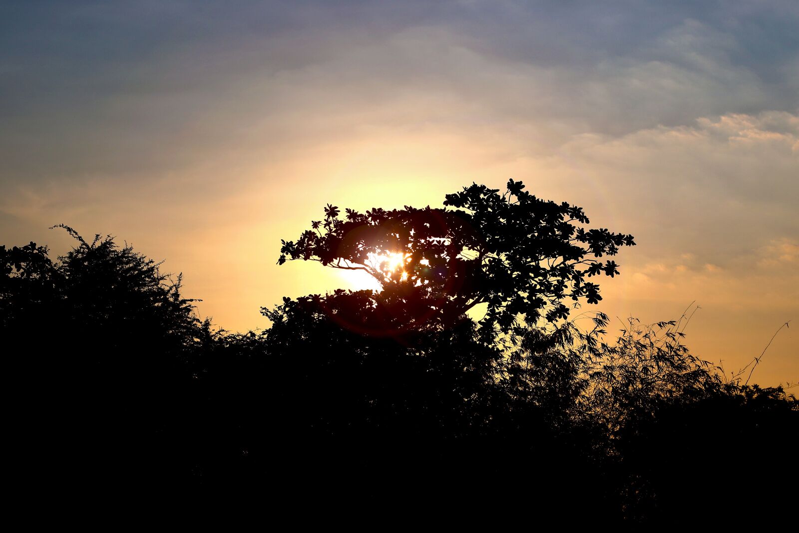 Canon EF 50mm F1.8 II sample photo. Sunset, sunrise, sun photography
