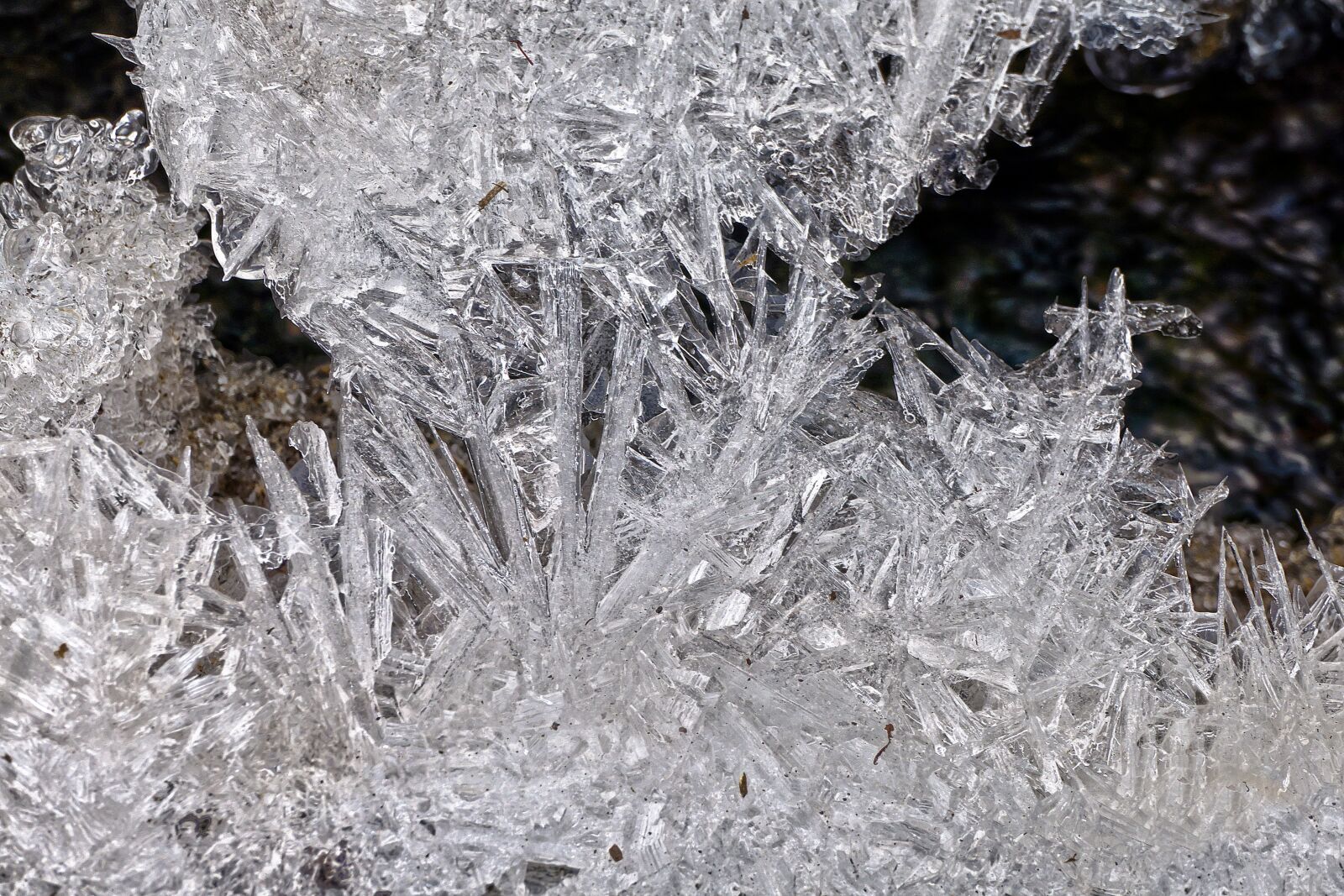 Panasonic Lumix DMC-FZ1000 sample photo. Water, icy, eiskristalle photography
