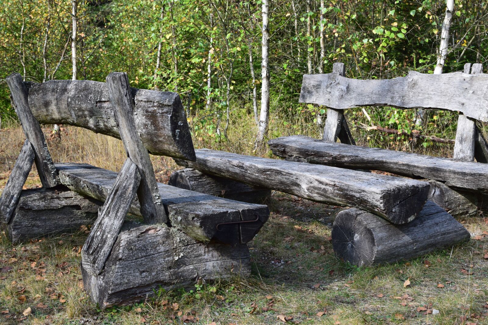 Nikon D5300 sample photo. Wooden bench, resting place photography