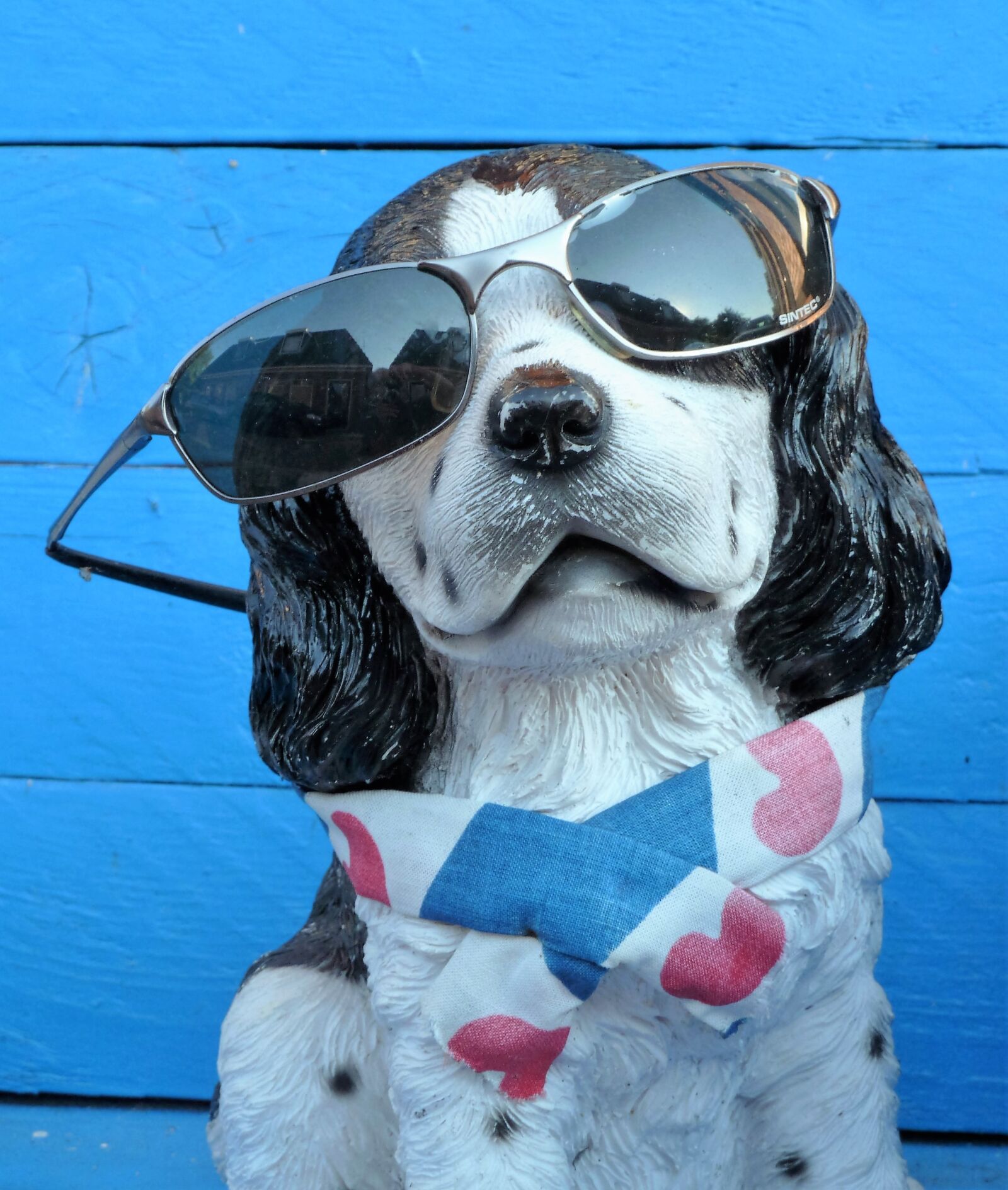 Panasonic Lumix DMC-ZS5 (Lumix DMC-TZ8) sample photo. Animal, dog, sunglasses photography