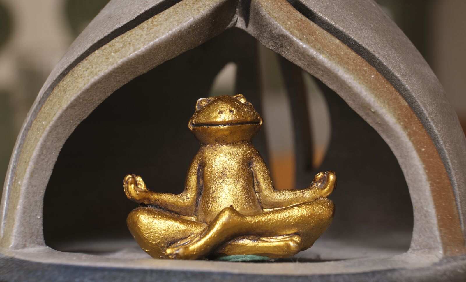Fujifilm XF 18-55mm F2.8-4 R LM OIS sample photo. Meditation, legged, frog photography