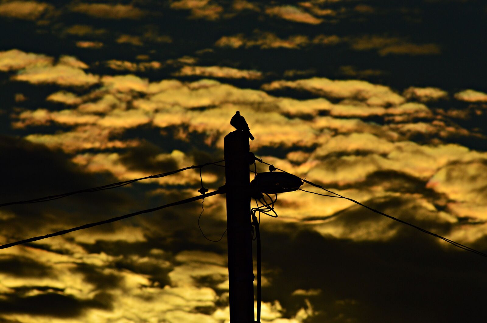 Nikon D3200 sample photo. Sunset, silhouette, mood photography