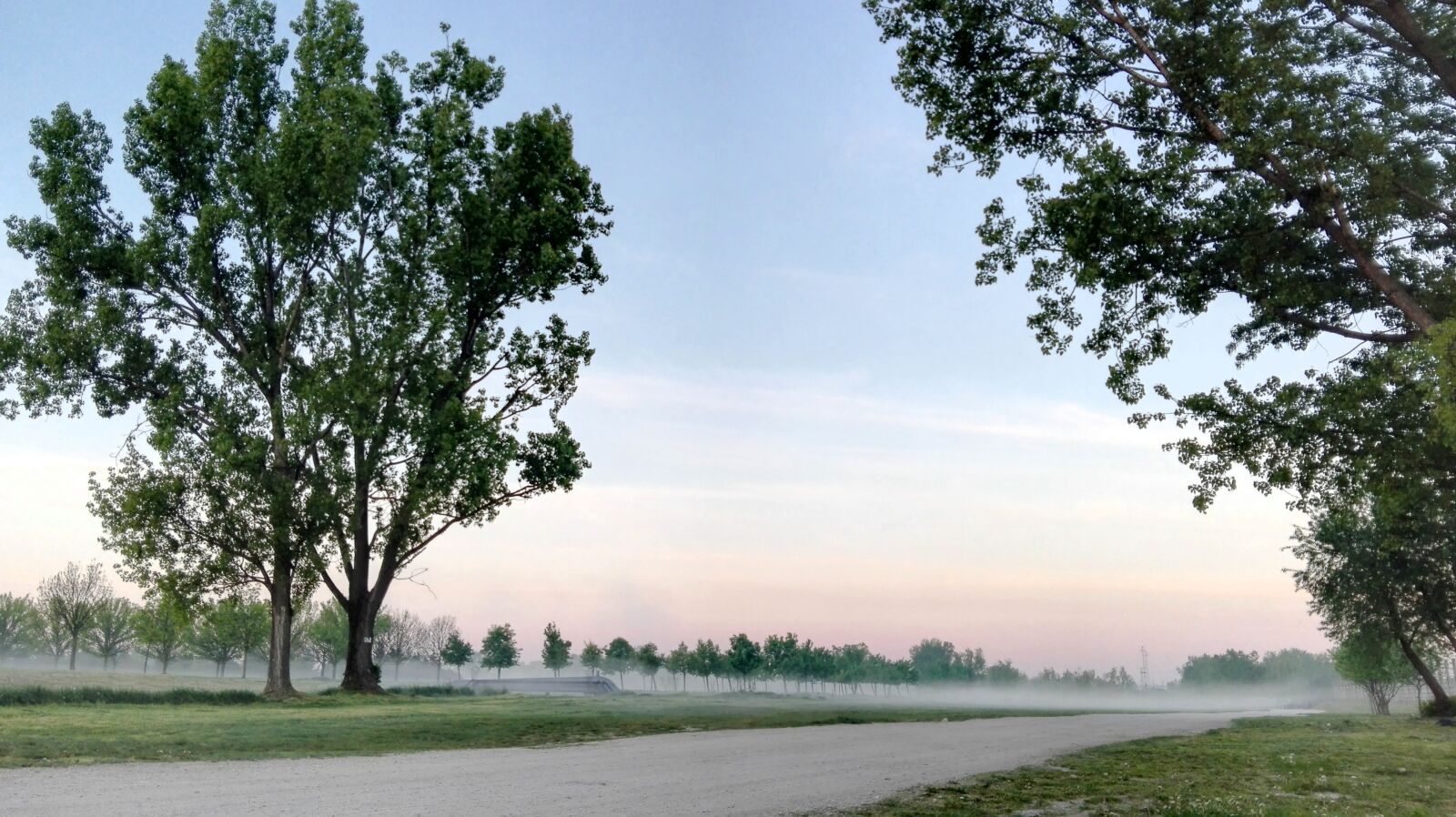 HUAWEI P8 Lite sample photo. Fog, trees, dawn photography