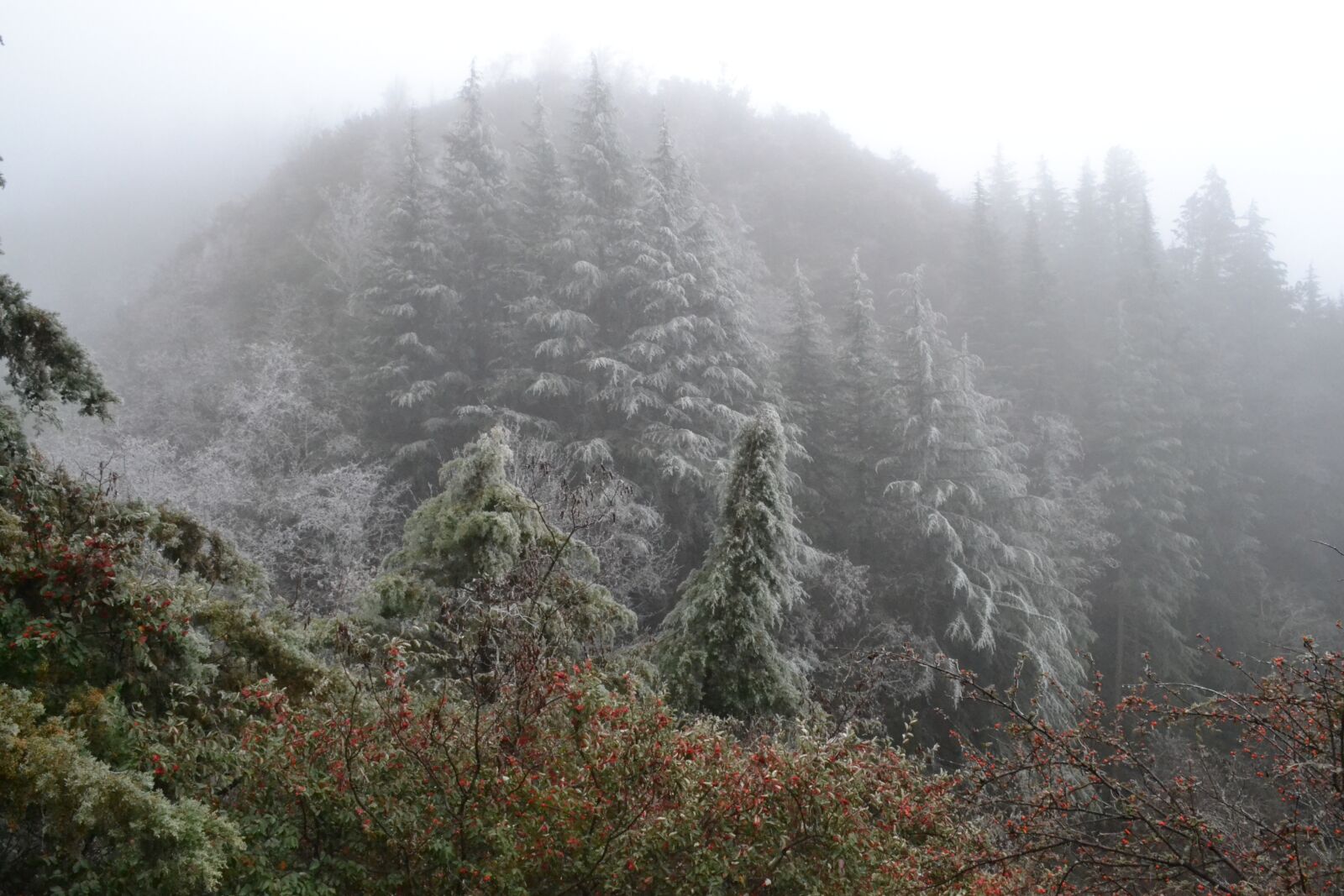 Nikon D3100 sample photo. Mountains, landscape, nature photography