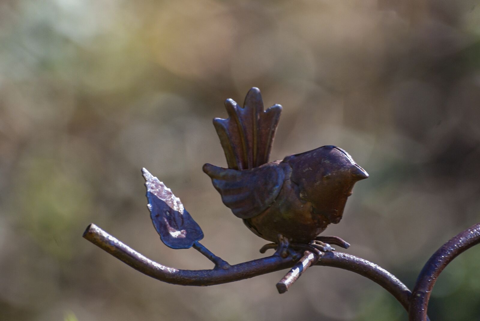 Nikon D80 sample photo. Bird, iron, decor photography