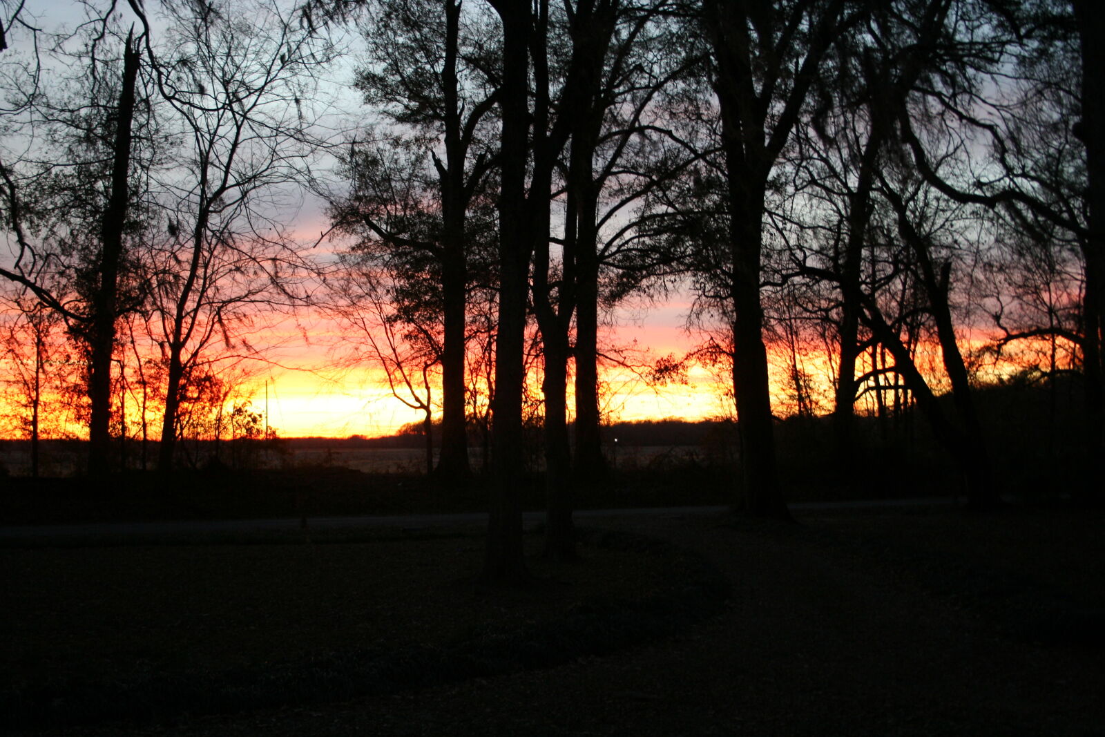 Canon EOS 350D (EOS Digital Rebel XT / EOS Kiss Digital N) sample photo. Sunset, trees photography
