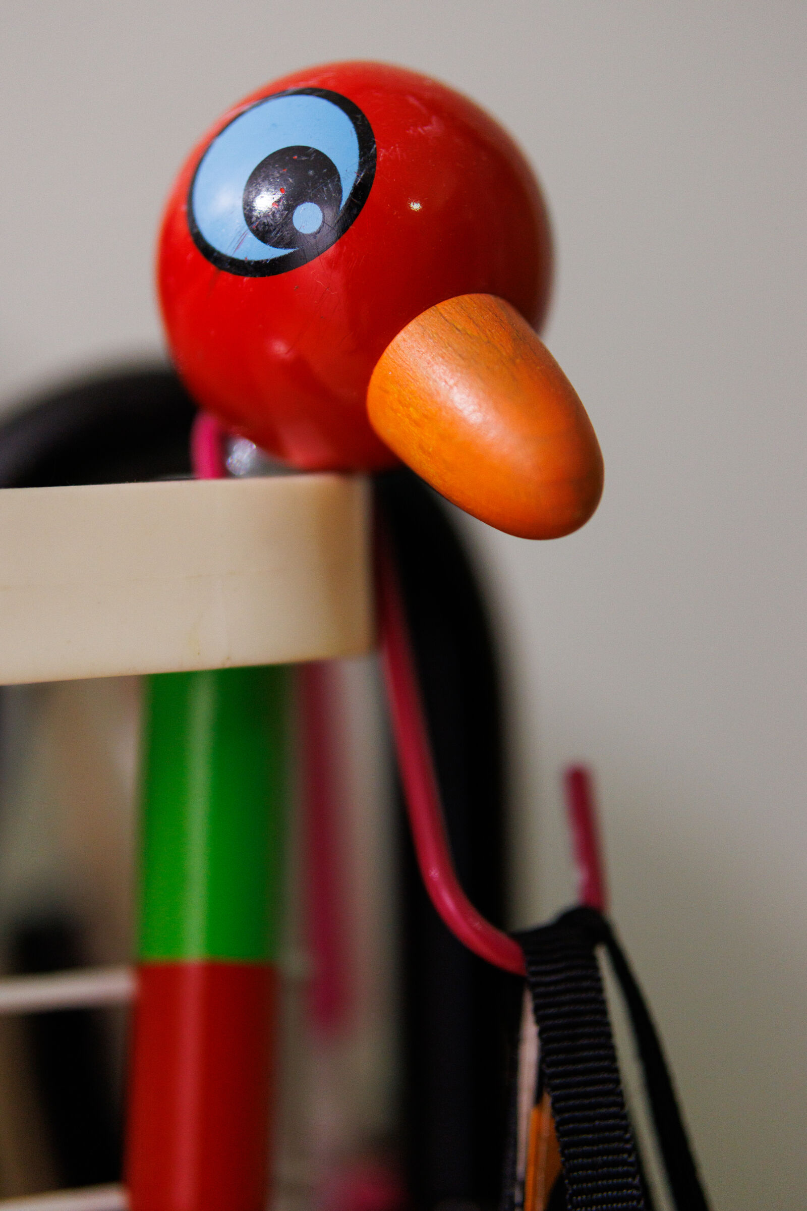 Sigma 56mm F1.4 DC DN | C sample photo. Detail shot photography