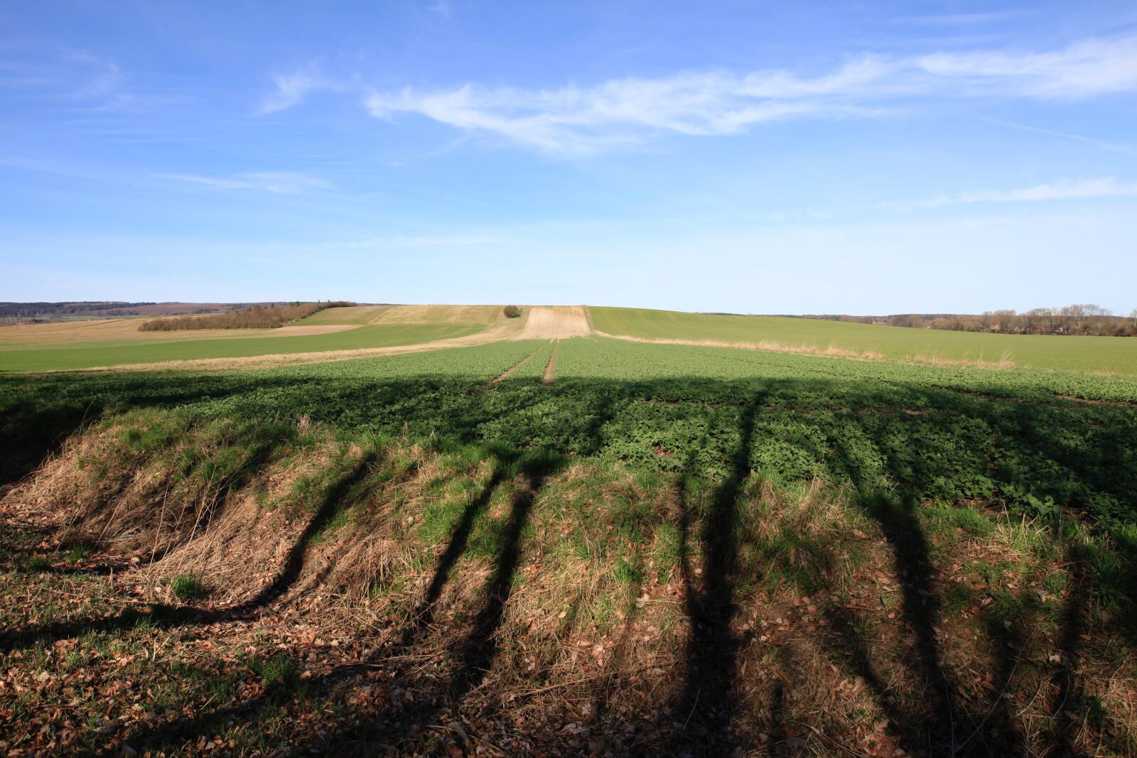 Canon EOS 5D Mark II sample photo. Field, shadow, sky photography