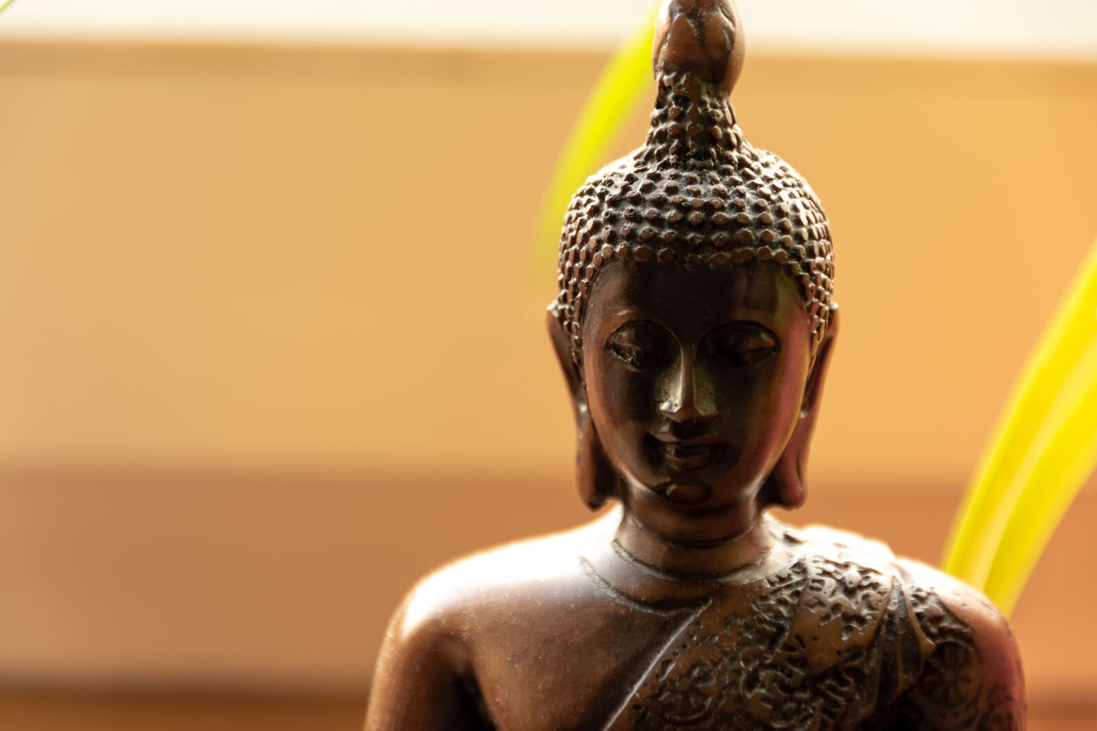 Nikon D5600 sample photo. Buddha, head, statue photography