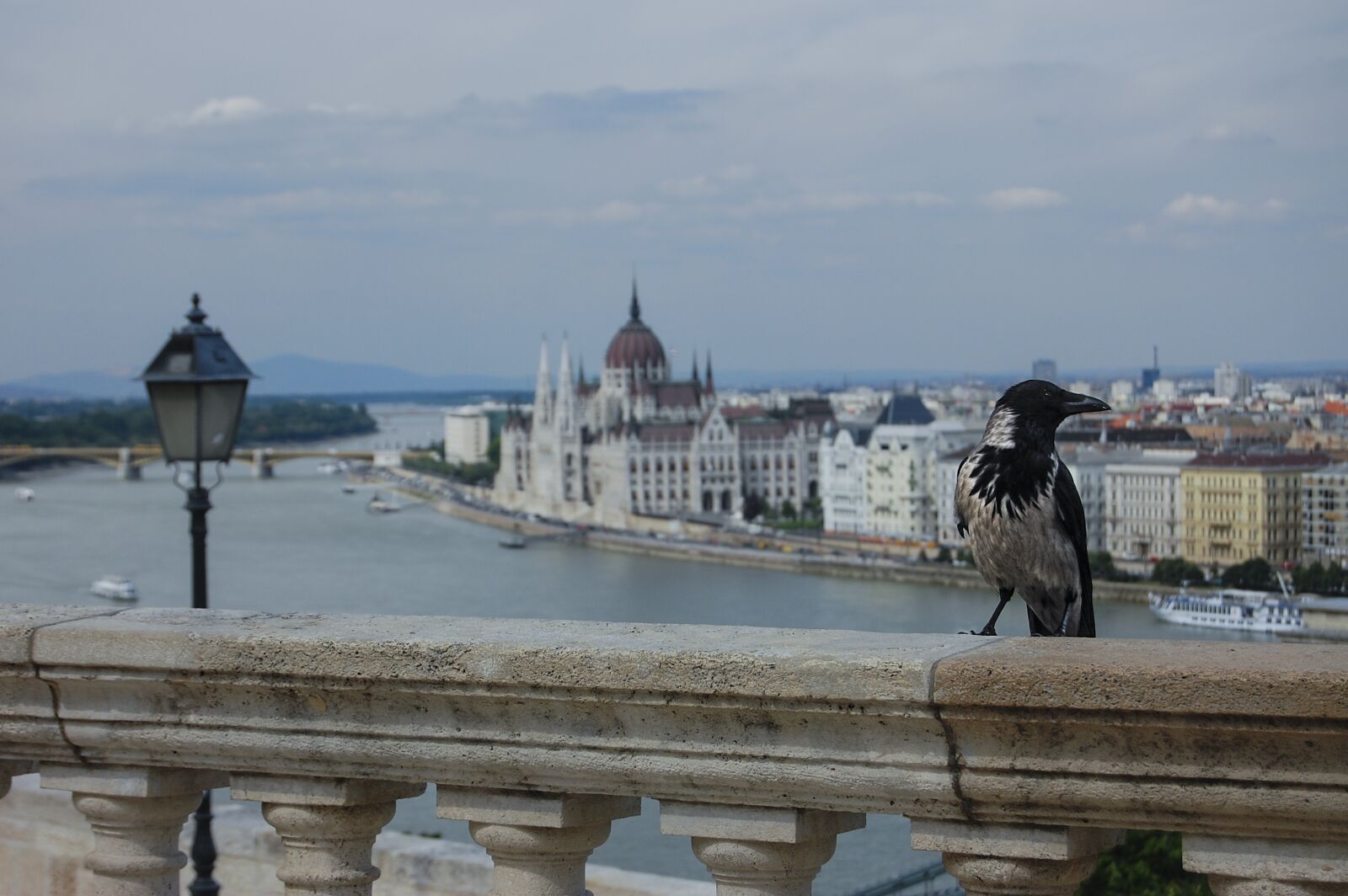 Nikon D40 sample photo. Budapest, danube, bird's eye photography