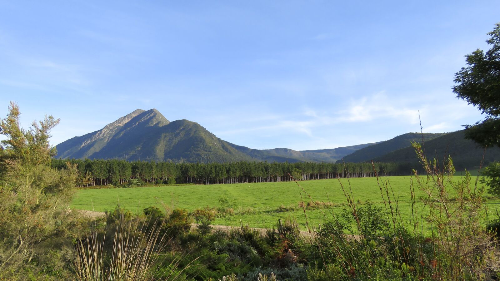 Canon PowerShot SX60 HS sample photo. Western cape, tsitsikamma, south photography
