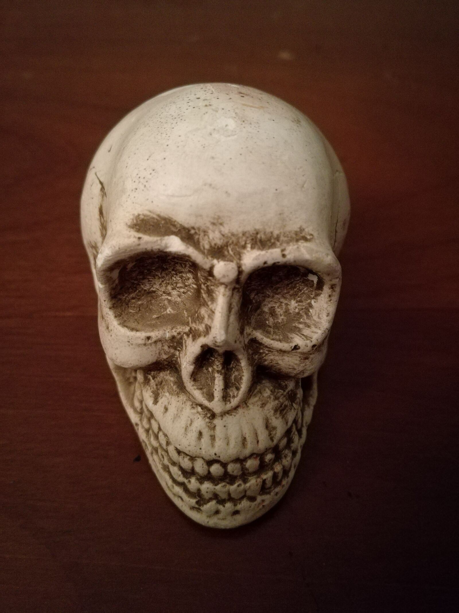 HUAWEI P9 LITE sample photo. Skull, bone, head photography