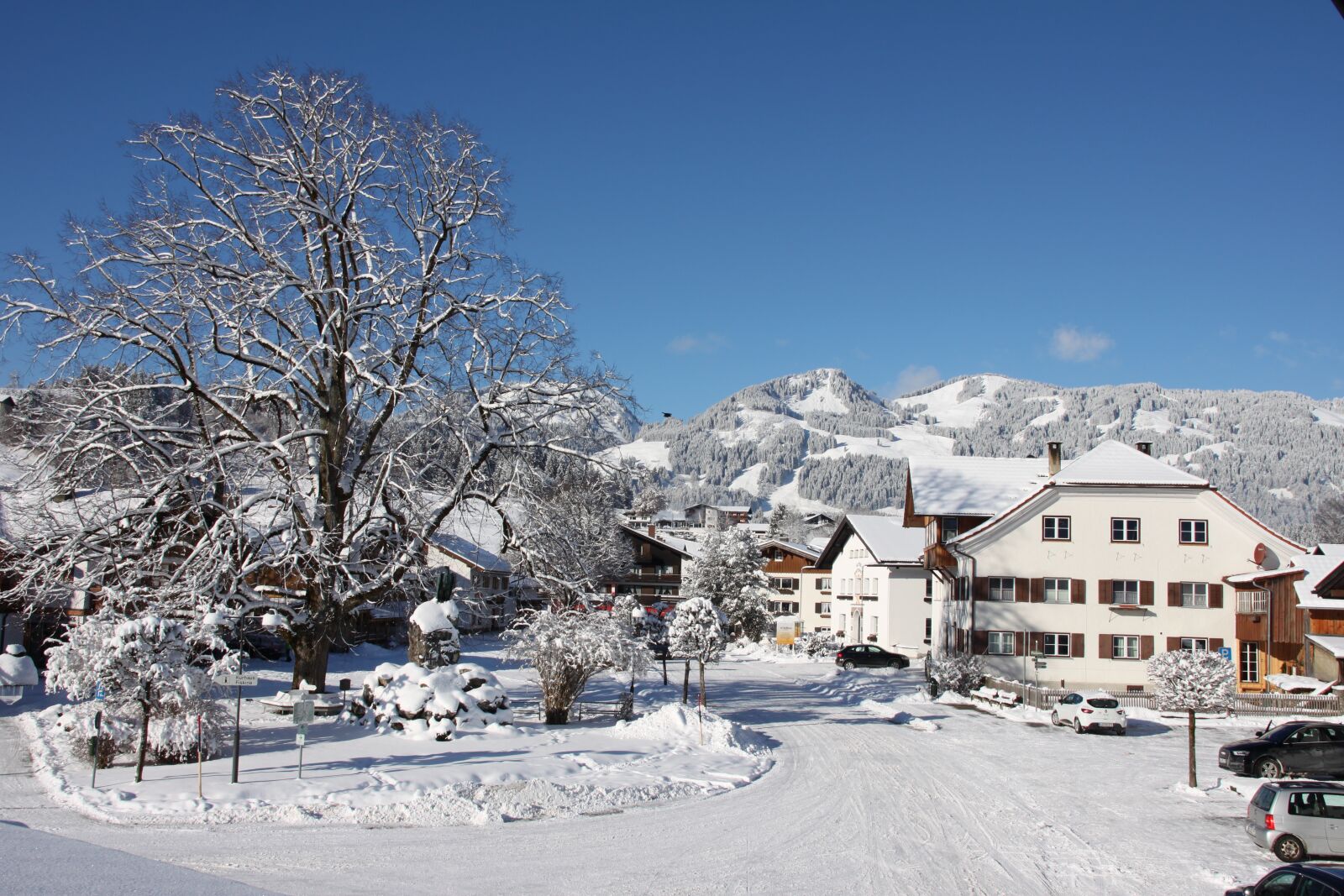 Canon EOS 500D (EOS Rebel T1i / EOS Kiss X3) sample photo. Snow, winter, mountains photography
