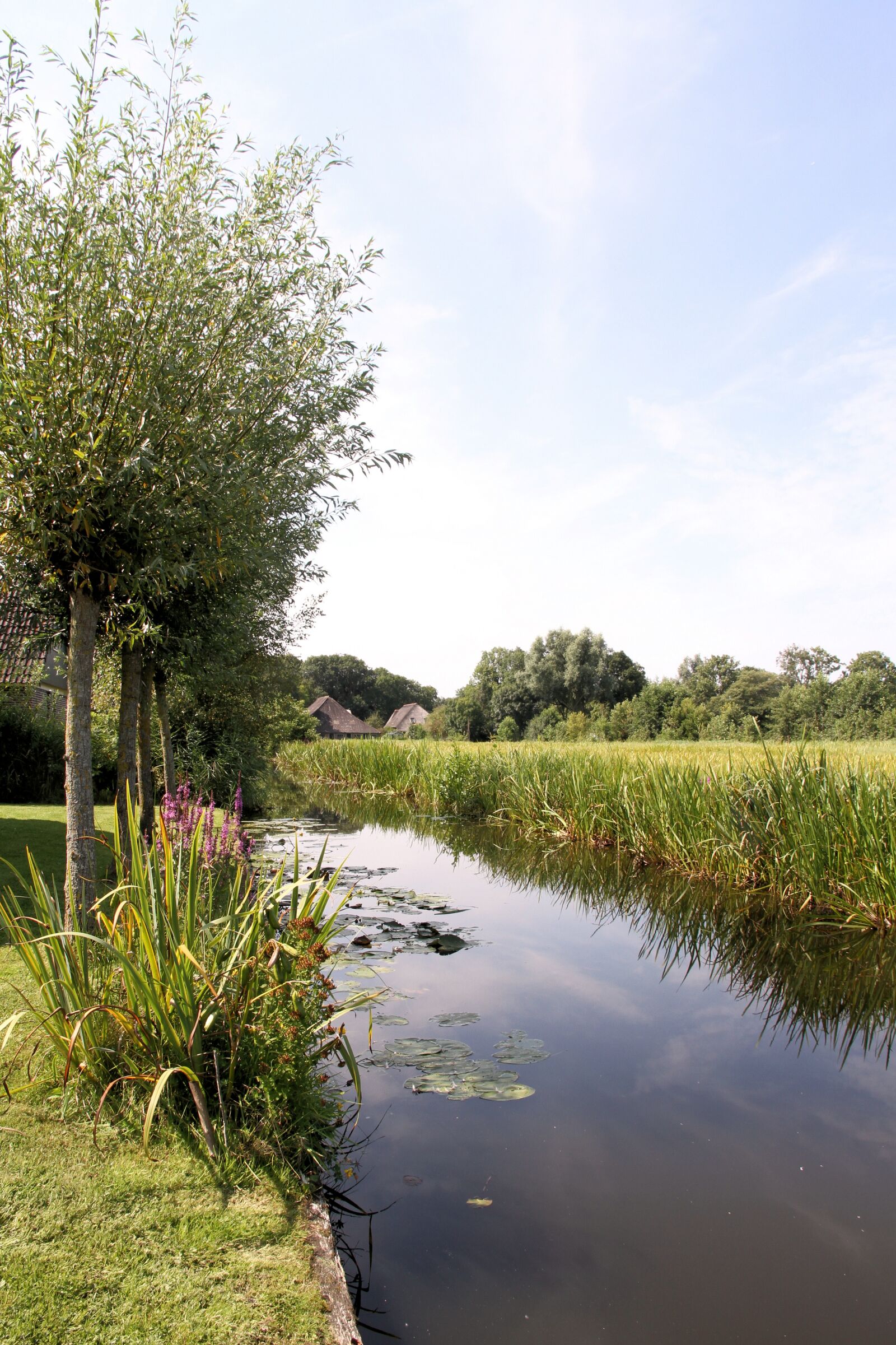 Canon EOS 7D sample photo. Netherlands, canal, pointer photography