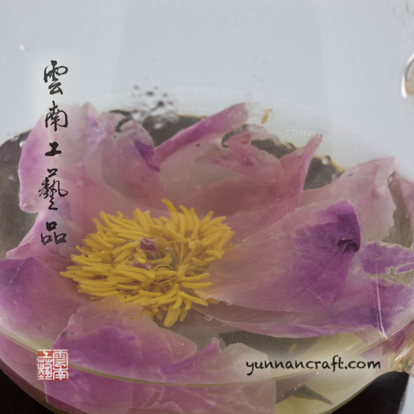 Sigma 105mm F2.8 EX DG Macro sample photo. Peony, flower, tea photography