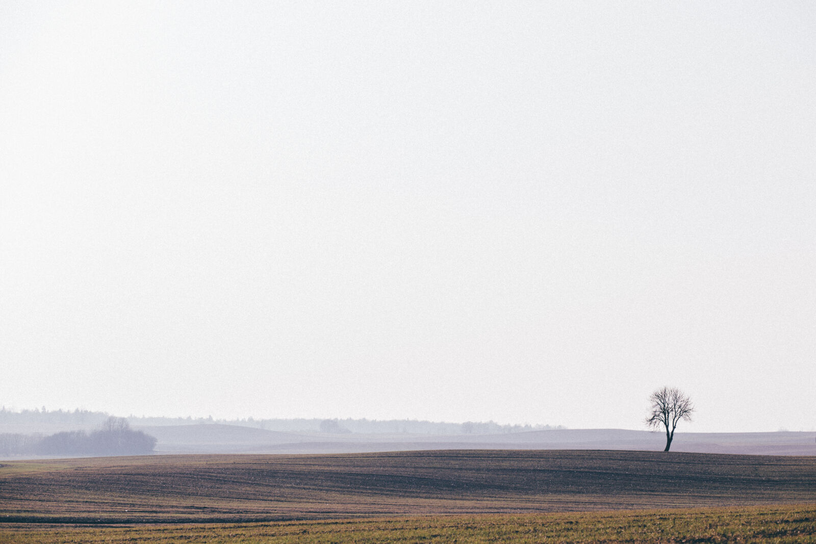 Canon EF 85mm F1.8 USM sample photo. Clouds, cropland, dawn, daylight photography