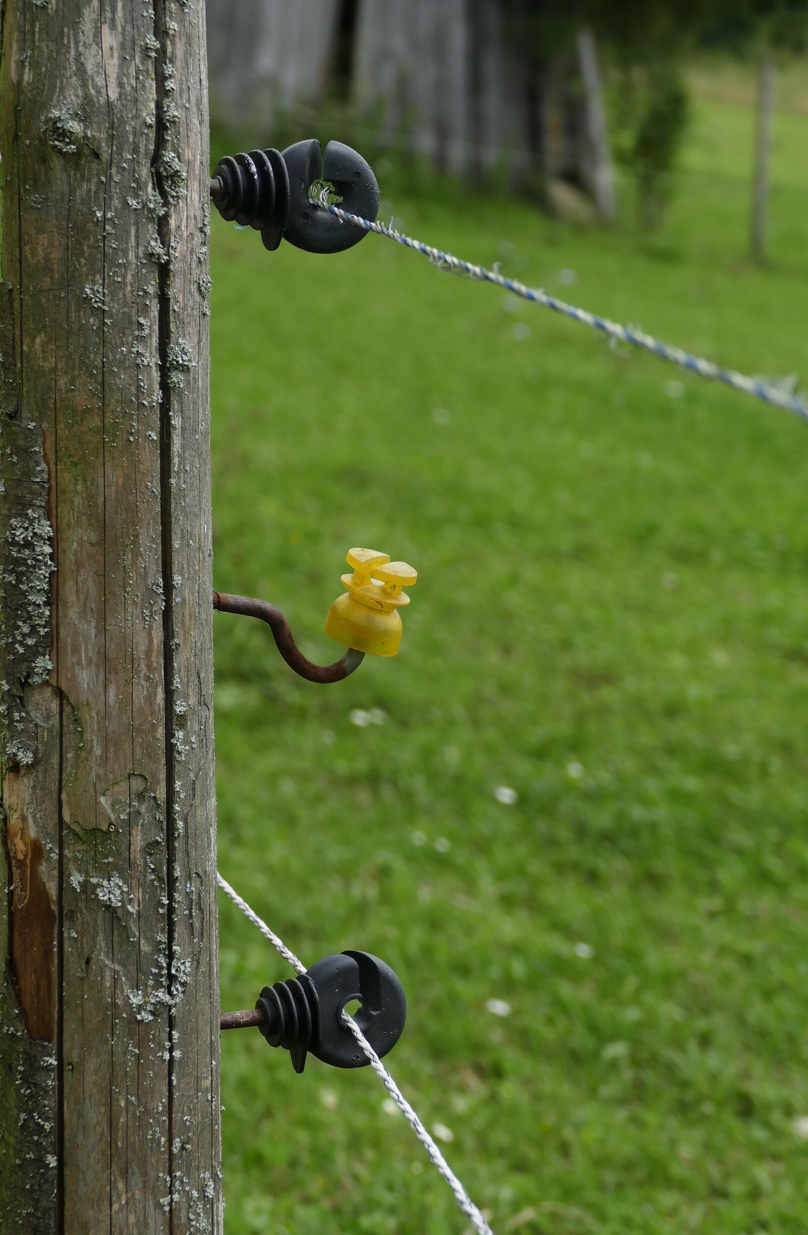 Panasonic Lumix DMC-FZ1000 sample photo. Pasture fence, insulating pole photography