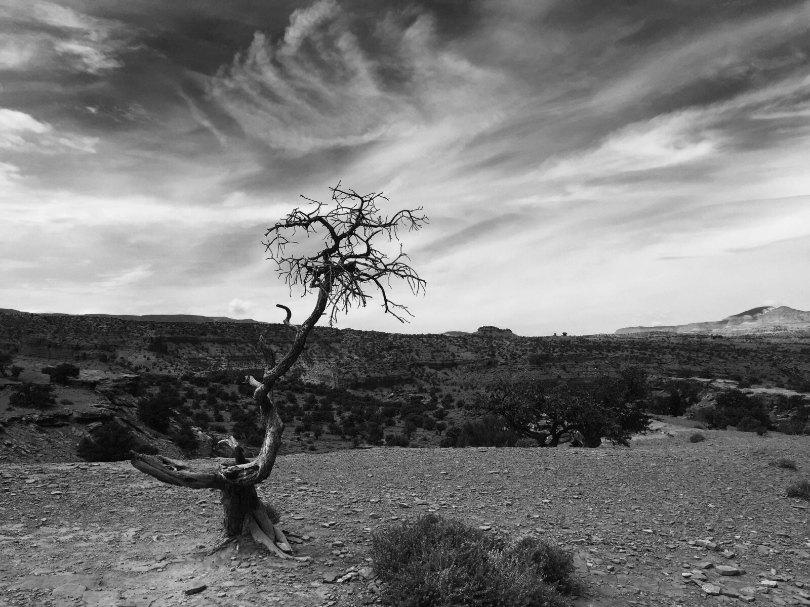 Apple iPhone 6 sample photo. Panorama stitch, teasdale, landscape photography