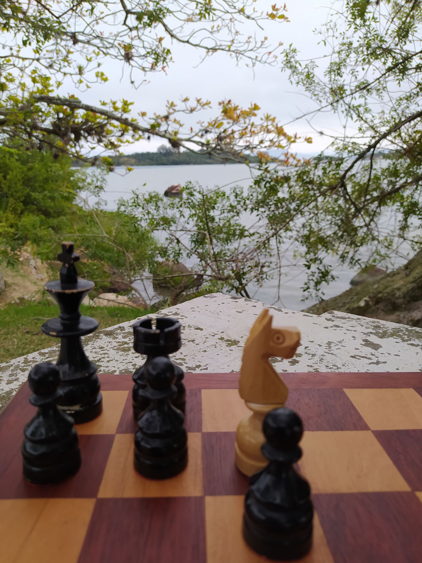 Xiaomi Redmi Note 8 sample photo. Xadrez, natureza, pe as photography