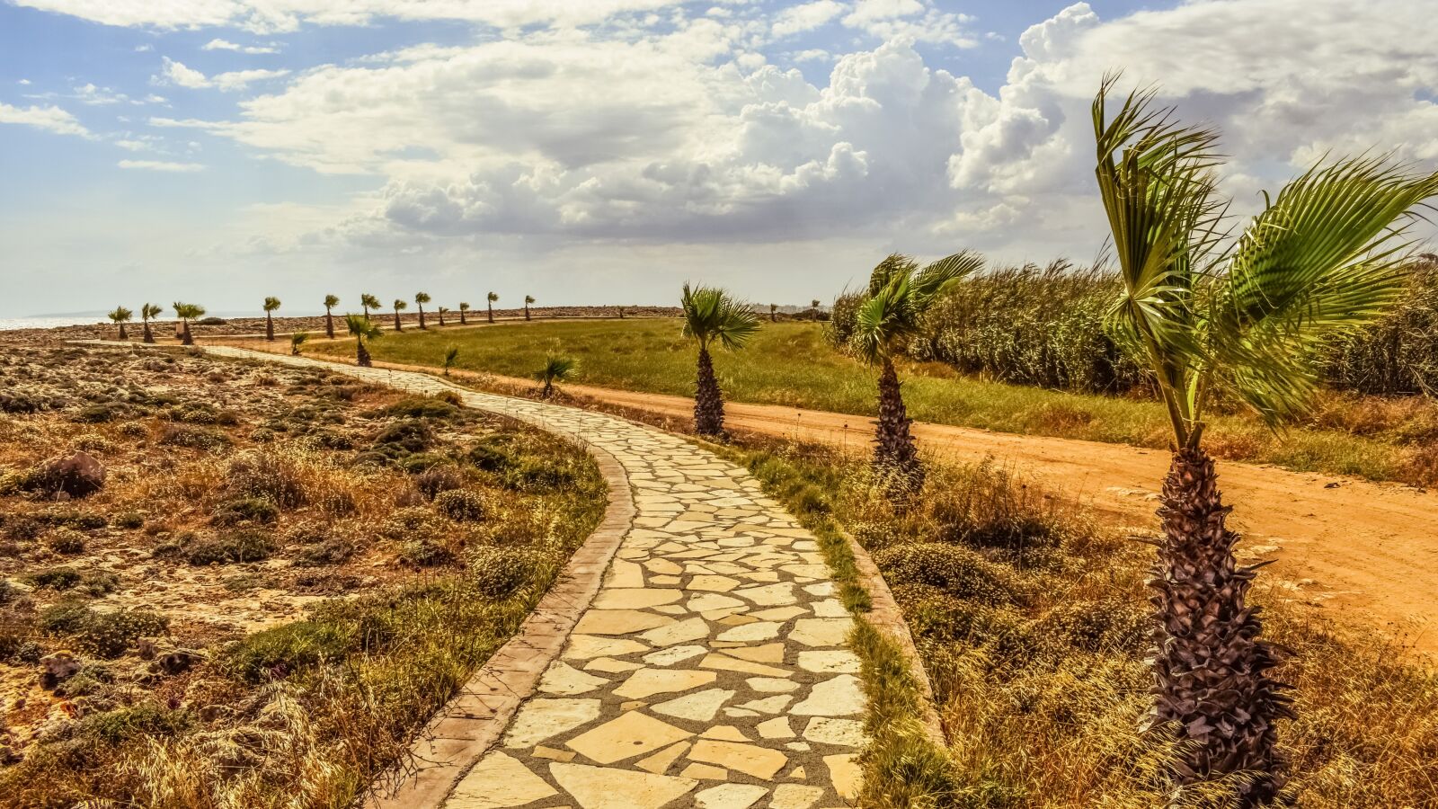 Nikon D3300 sample photo. Path, coastal, scenery photography