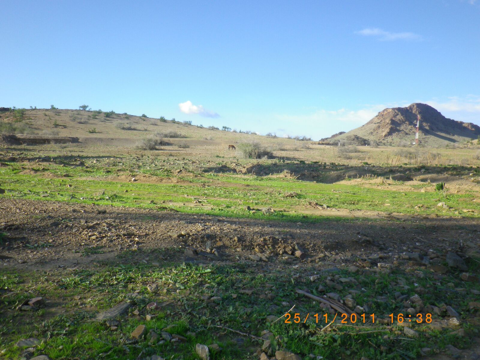 Pentax Optio RZ10 sample photo. Field, sky, horizon photography