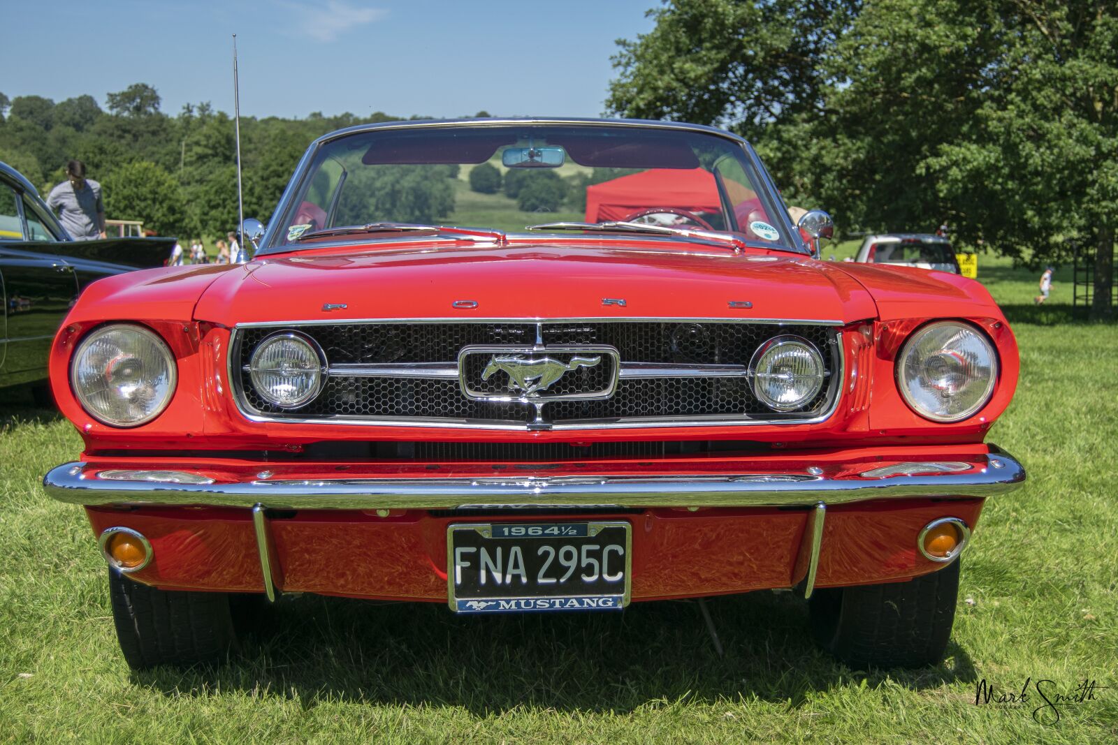 Nikon D3300 sample photo. Mustang, ford, car photography