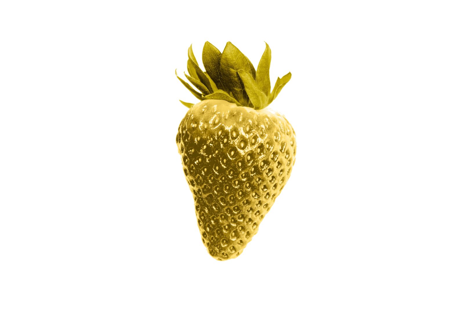 Sony a7 sample photo. Golden strawberry, strawberry, gold photography