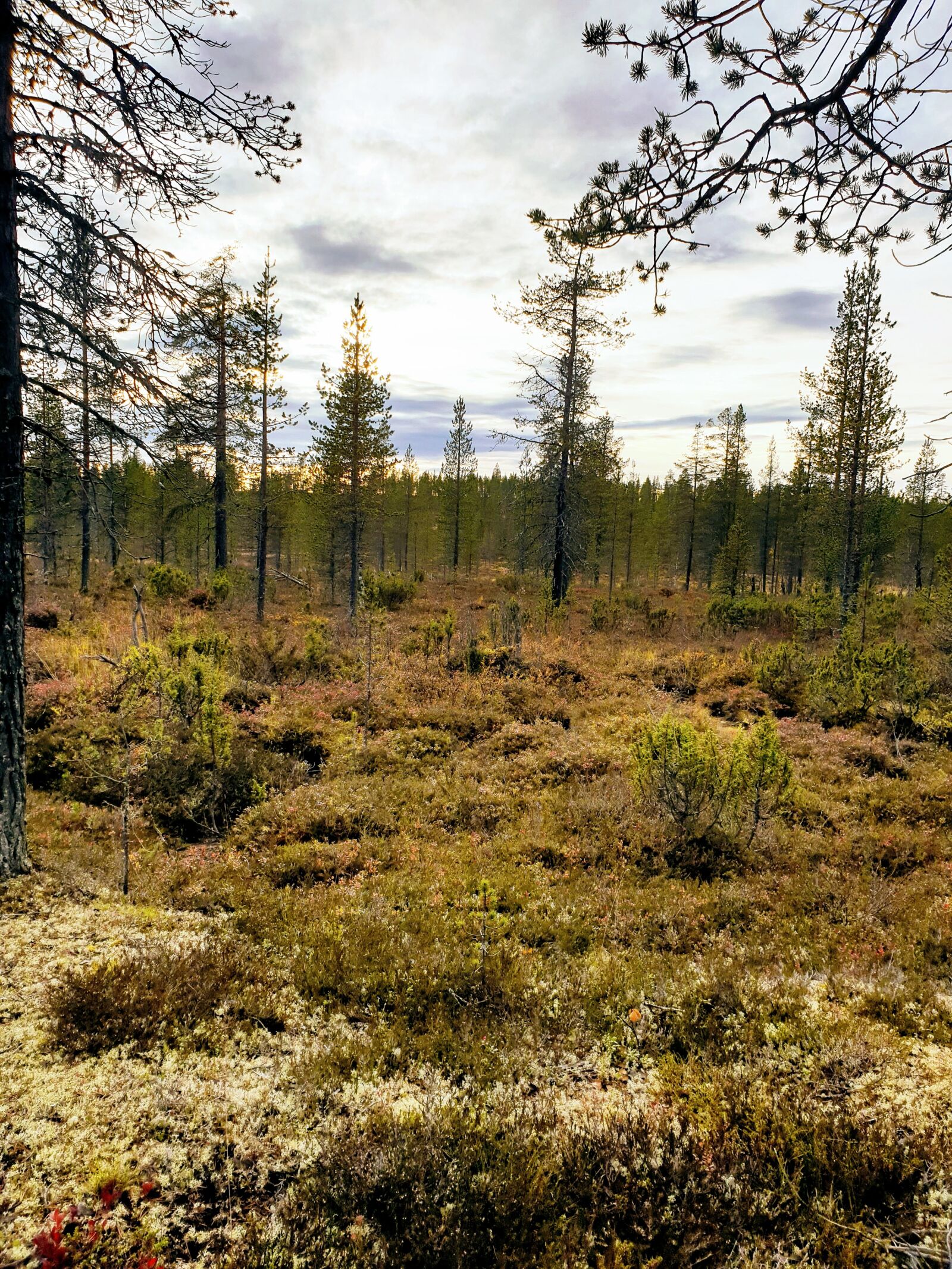 Samsung Galaxy S9+ sample photo. Lapland, faq, the island photography