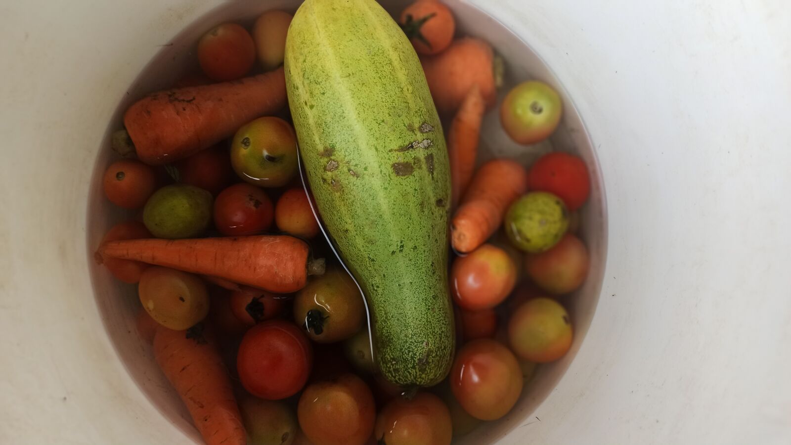 Xiaomi Redmi Note 8 Pro sample photo. Vegetable, fresh, carrot photography