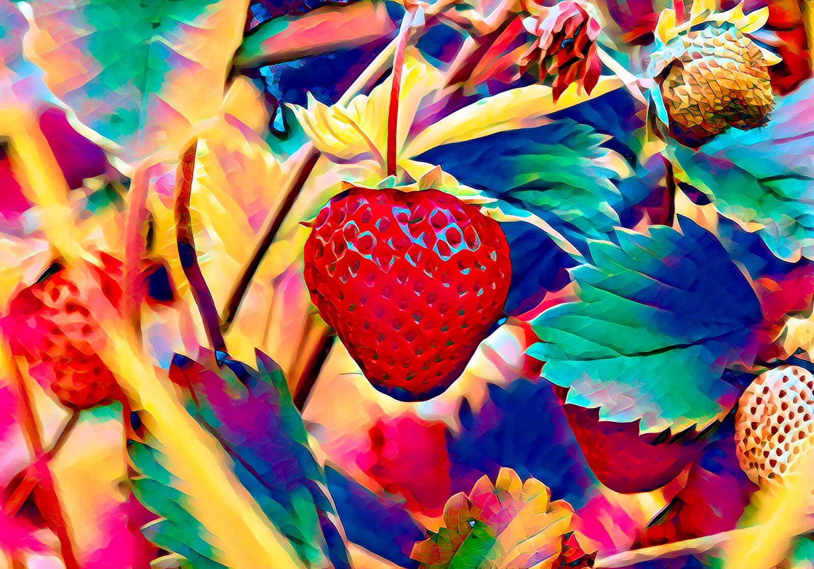 Canon EOS 70D sample photo. Strawberry, big, red photography