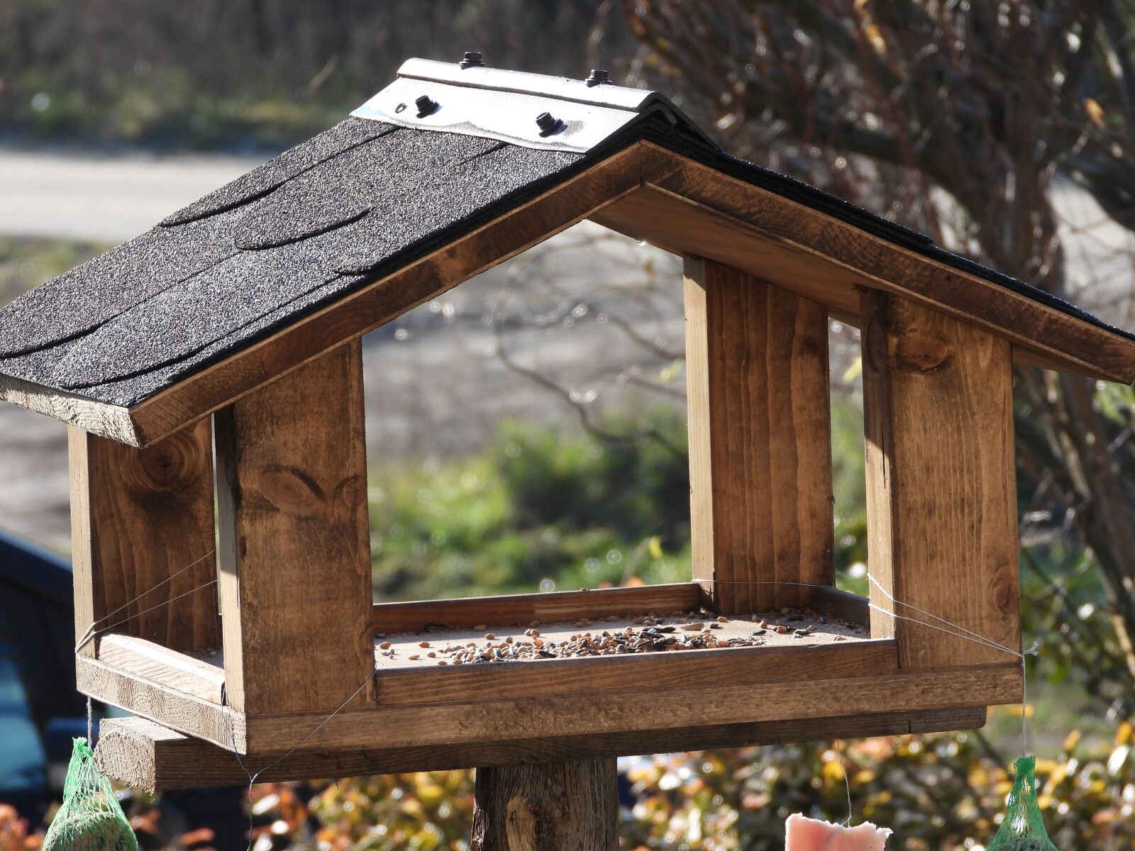Nikon Coolpix P1000 sample photo. Bird feeding tray, grains photography