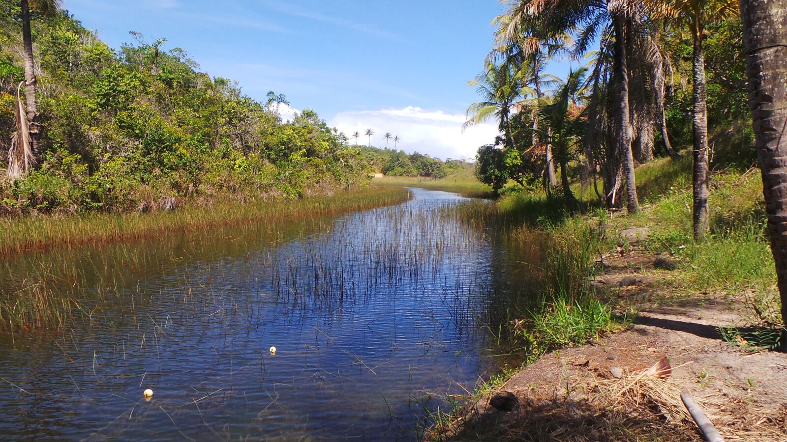 Samsung Galaxy Camera (Wi-Fi) sample photo. Rio, fresh water, tranquility photography