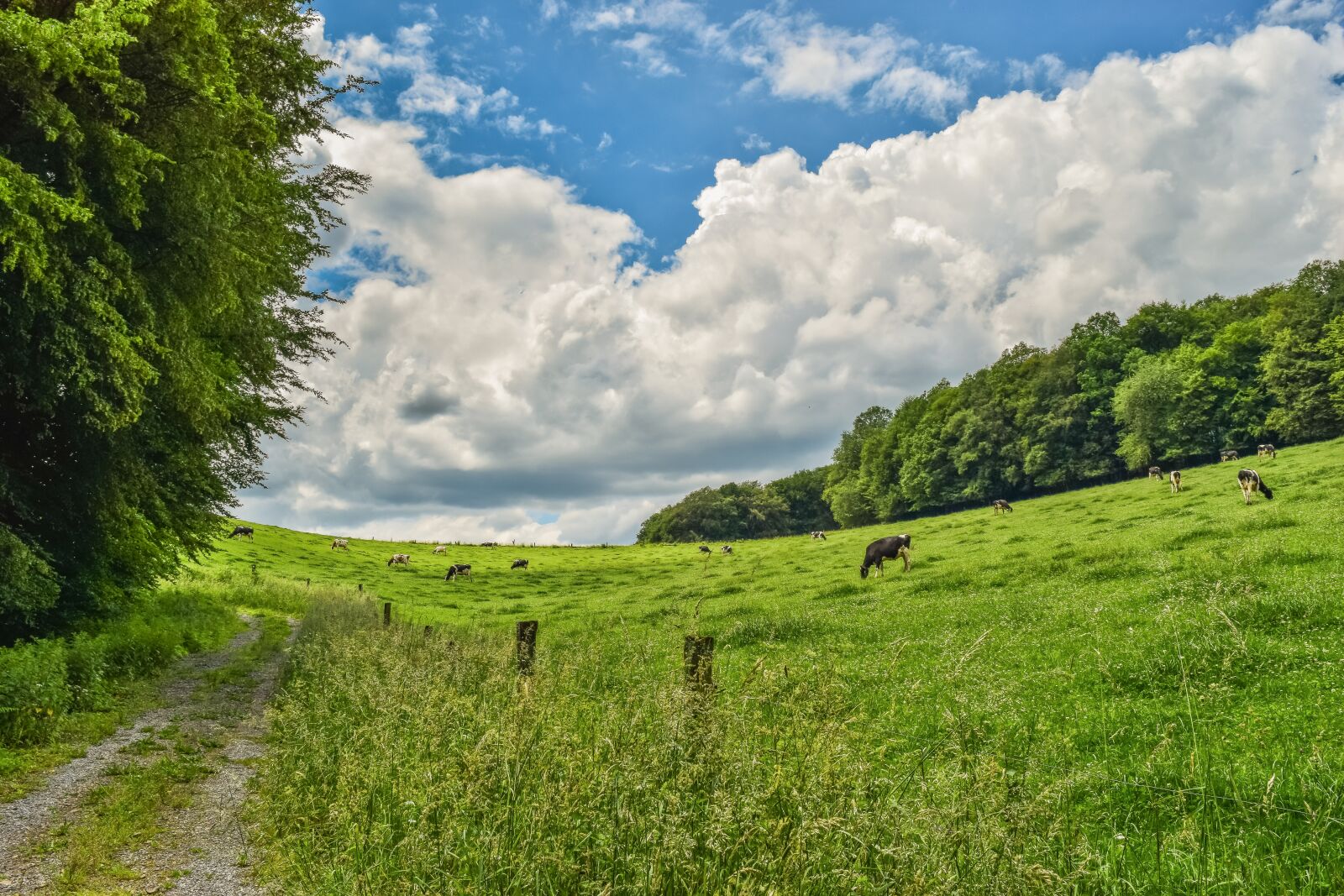 Nikon D3300 sample photo. Landscape, nature, clouds photography