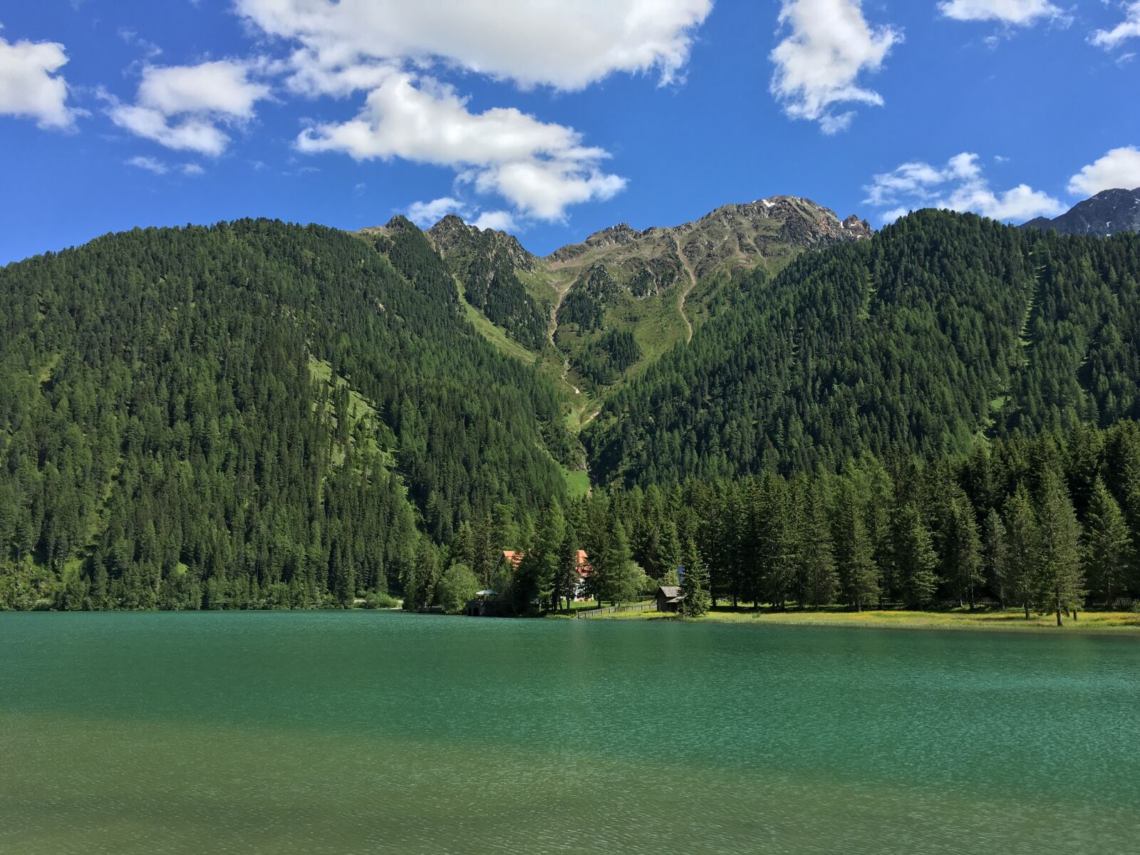 Apple iPhone 6s sample photo. Nature, landscape, forest photography